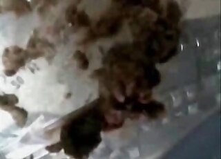 Amateur cam girl from Japan is wearing fishnets